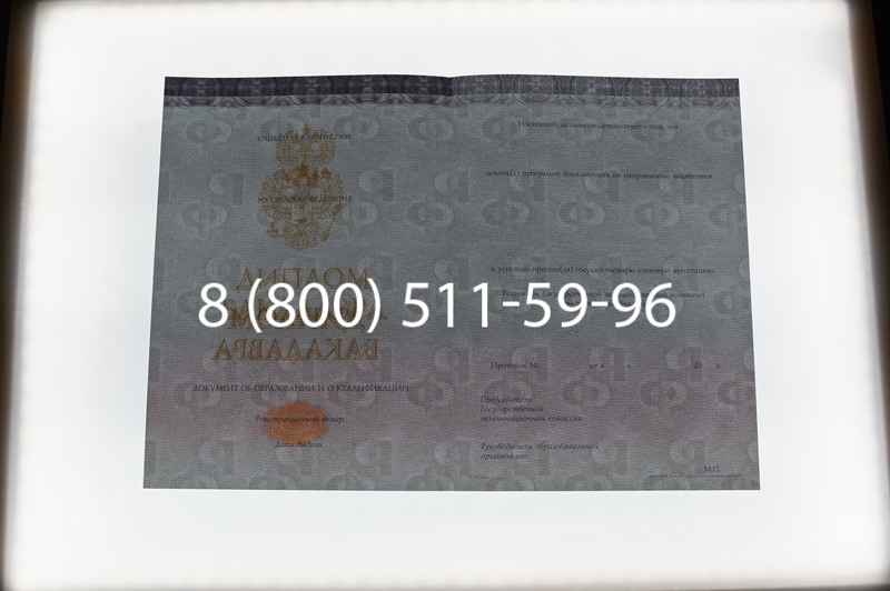 Заказать Диплом бакалавра (Киржач) 2014-2024 года в Сочи Заказать Диплом бакалавра (Киржач) 2014-2024 года в Сочи