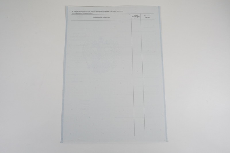 Диплом о начальном образовании 2007-2009 годов в Сочи Диплом о начальном образовании 2007-2009 годов в Сочи